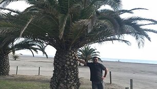 PALMĖ. Neradus eglutės, kapitono Romo Karmazino įgula i&scaron;mokė madagaskariečius papuo&scaron;ti palmę