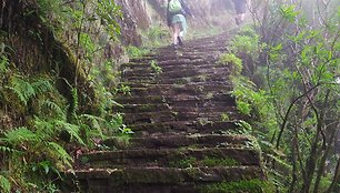 Caminho Real da Encumeada