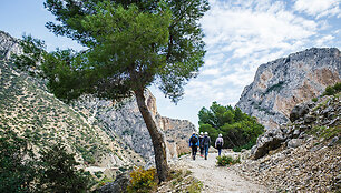 Caminito del Rey