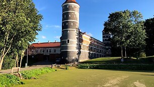 Panemunės pilis
