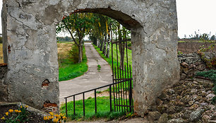 Jakiškių kapinės (Joniškio r.)