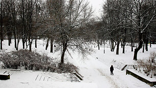 Vilnius Reformatų skveras žiemą