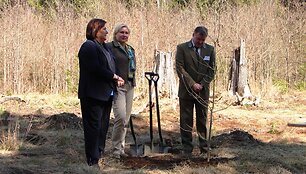 Anna Komorowska sodina ąžuoliukus