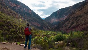 Paradise Valley