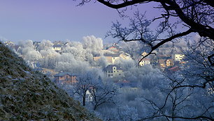 Žiemiška Naujoji Vilnia