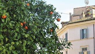 Pavasarėjanti Italija