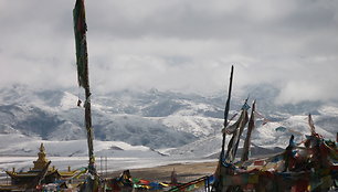 Tibetas