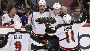 &bdquo;Minnesota Wild&ldquo; ledo ritulininkai.