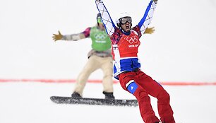 Pierre'as Vaultier'as
