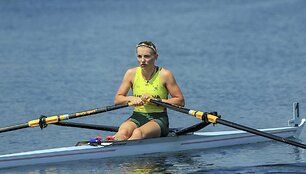 Gintarinių irklų regata