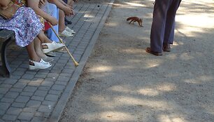 Nuotraukos pavadinimas