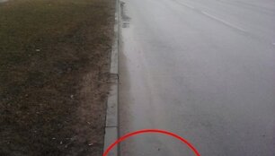 Įkrauk.lt nuotrauka
