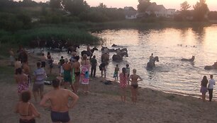 Įkrauk.lt nuotrauka
