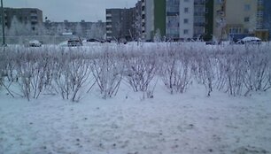 Įkrauk.lt nuotrauka