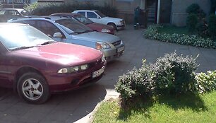 Įkrauk.lt nuotrauka