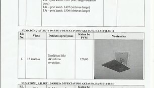 Nuotraukos pavadinimas