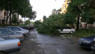 Įkrauk.lt nuotrauka