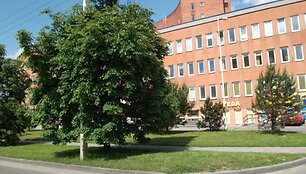 Įkrauk.lt nuotrauka