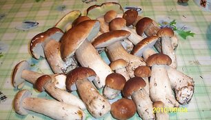 Įkrauk.lt nuotrauka