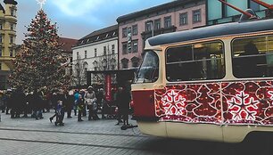 Rimgailės Me&scaron;kaitės gyvenimas Čekijoje
