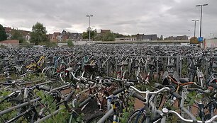 Belgija