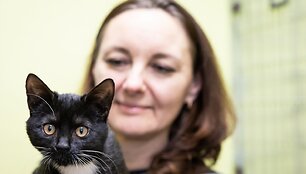 &bdquo;Pet Rescue Finland&ldquo; padeda rasti namus Suomijoje prieglaudų &scaron;unims i&scaron; Lietuvos