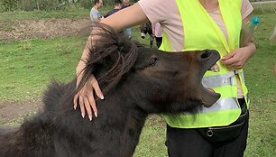 Lietuvių kalbos mokytoja Milda Ratomskienė