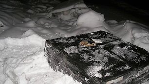 I&scaron; Nemuno i&scaron;trauktos cigaretės