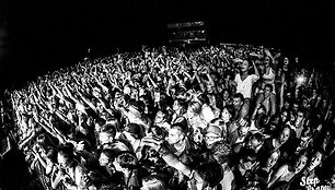 Festivalis
