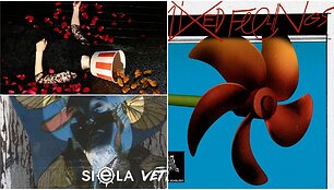 Monikaze, Siela ir Ministry of Echology albumų vir&scaron;eliai