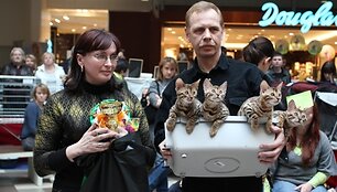 Įkrauk.lt nuotrauka