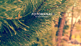 &copy; Fotomanai