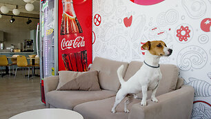 &bdquo;Coca-Cola HBC Lietuva&ldquo; naujas biuras verslo centre &bdquo;Duetto&ldquo;