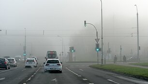 Paskutinės rudens dienos Vytauto &Scaron;auklio nuotraukose