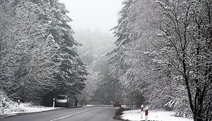 Žiema Vytauto Šauklio kadruose