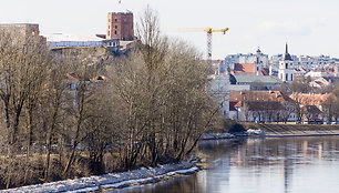 Gedimino kalno tvarkybos eiga