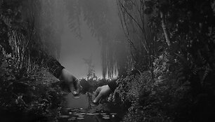 Hans op de Beeck, &bdquo;Režisuojant tylą&ldquo;, 2013