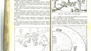 Apie įstatymus pėstiesiems i&scaron; &bdquo;Judėjimo tvarkos nuostatų&ldquo;