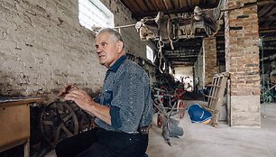 Gausi senovinės žemės ūkio technikos kolekcija &ndash; ūkininko kieme