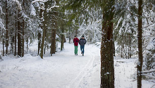 Žiemos vaizdai Kleboniškio miško parke
