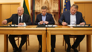 Vytautas Kamblevičius, Ramūnas Karbauskis, Andrius Palionis