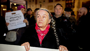 Mitingas protestuojant dėl i&scaron; &scaron;eimų paimamų vaikų