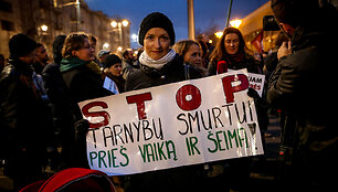 Mitingas protestuojant dėl i&scaron; &scaron;eimų paimamų vaikų