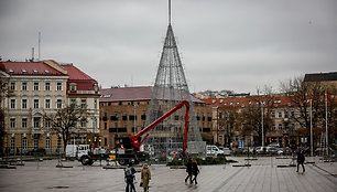 Sostinės Katedros aikštėje statoma kalėdinė eglė