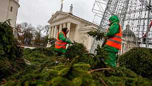 Sostinės Katedros aikštėje statoma kalėdinė eglė