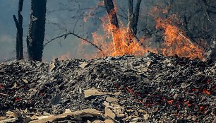 Šalčininkų rajone, Krakūnų kaime kilęs gaisras sunaikino apie 20 pastatų