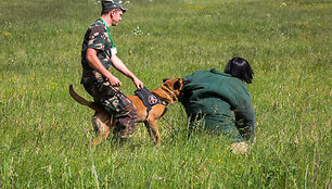 VSAT tarnybinių šunų meistriškumo čempionatas