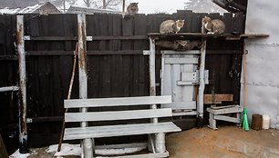 Vilniaus čigonų tabore esantis kioskas