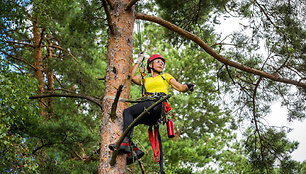 Arboristė Inga Gaidelytė