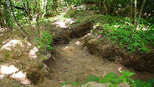 Archeologinių dirbinių plėšikų iškasinėtas Poškaičių kapinynas